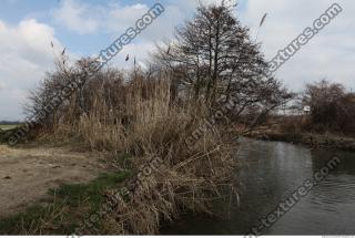 Photo Texture of Background Spring Nature